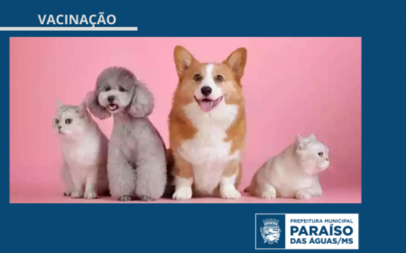 Imagem de compartilhamento para o artigo Prefeitura de Paraíso das Águas inicia Campanha de Vacinação Antirrábica em cães e gatos da MS Todo dia